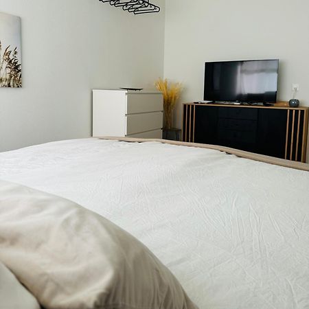 Eine Schoene Wohnung Am Messeplatz Bazel Buitenkant foto