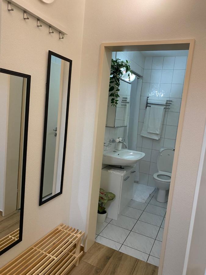 Eine Schoene Wohnung Am Messeplatz Bazel Buitenkant foto